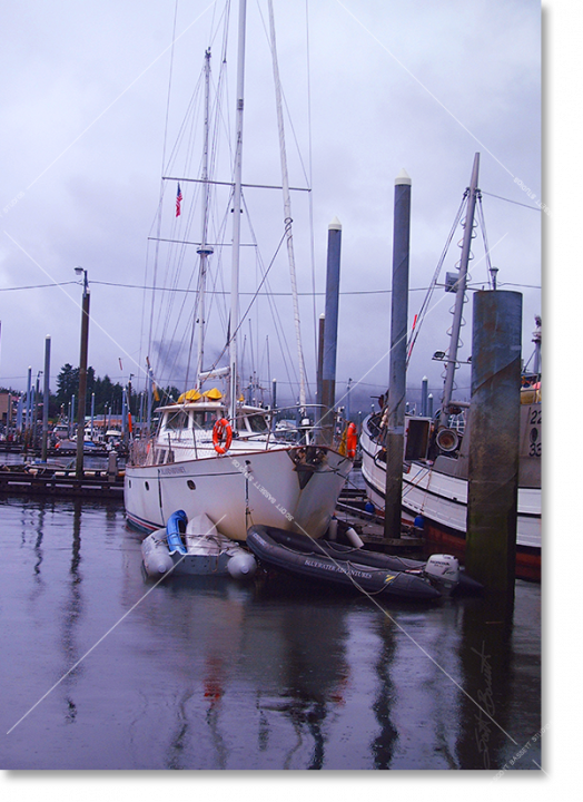 Alaska_Misty Moorage_web.png