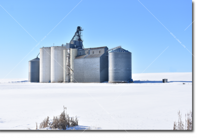 Winter Silos